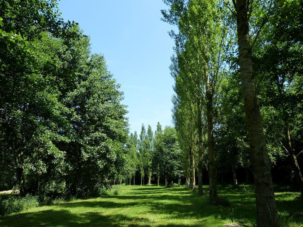 Villa La Boulangerie Genêts Esterno foto