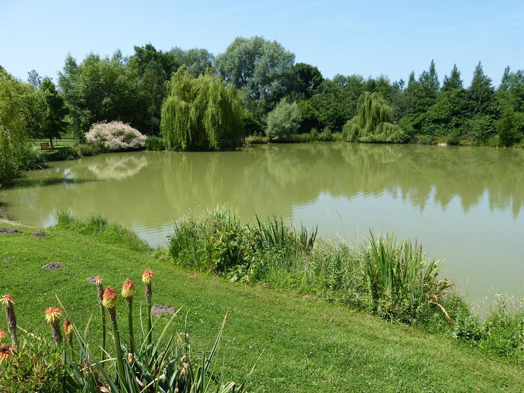 Villa La Boulangerie Genêts Esterno foto